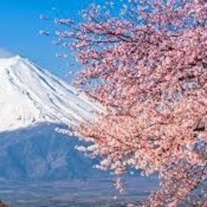 Meet your Posher, Monique